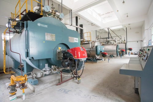 中正鍋爐匠心打造高效燃氣鍋爐系統，助力三易食品節能降耗